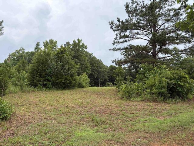 745 Foster Rd, Adamsville, TN 38310