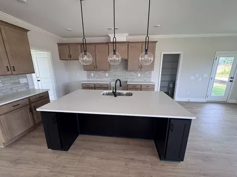 Kitchen - 1824 Flatwaters St, Spring Hill, TN 37174 photo 1 of 1