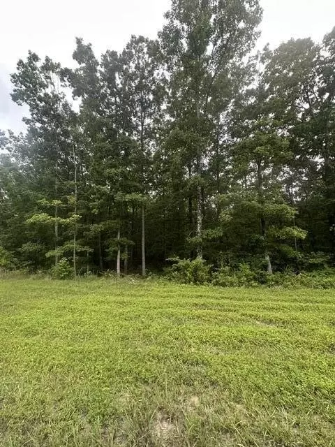 198 Kyuga Dr, South Pittsburg, TN 37380