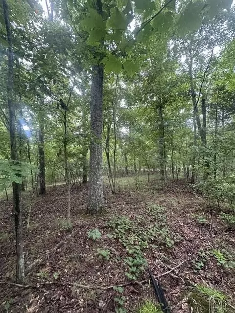 108 Chesadu Circle Cir, South Pittsburg, TN 37380