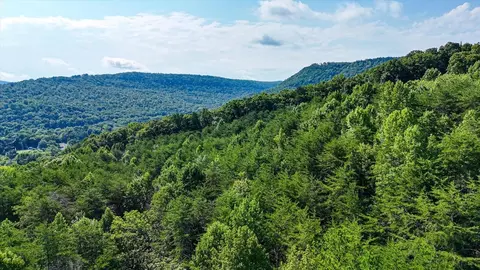 0 Tn-156, Guild, TN 37340 photo 22