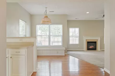 Living - 1402 Bern Dr, Spring Hill, TN 37174 photo 3 of 10