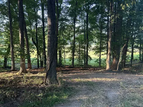 0 Cedar Creek Rd, Vanleer, TN 37181