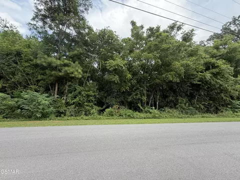 16 Sunrise Blvd, Kodak, TN 37764
