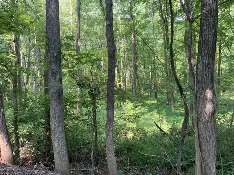 0 Copper Springs Rd, Springville, TN 38256