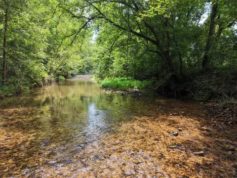 0 Old Beech Creek Rd, Waynesboro, TN 38485