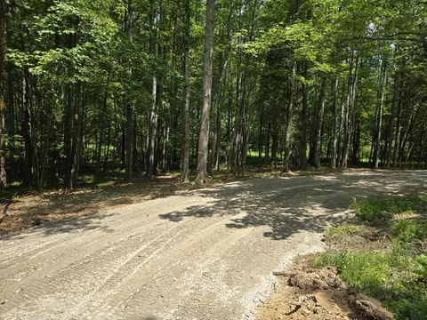 0 Webb Rd, Summertown, TN 38483