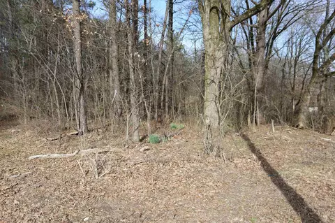 0 Seed Tick Rd, Lakeland, TN 38002