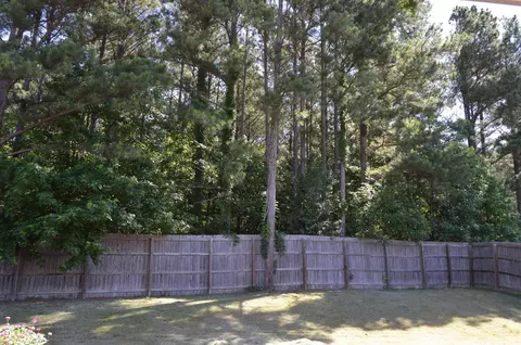 6320 Bending River Rd, Bartlett, TN 38135 photo 23
