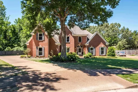 553 Roehampton Cv, Collierville, TN 38017 photo 3
