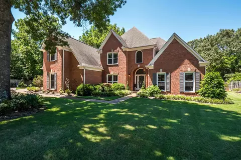 553 Roehampton Cv, Collierville, TN 38017