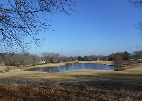 2676 Clermont Pl, Collierville, TN 38017 photo 20