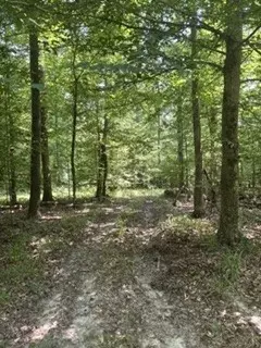 0 Old Union Church Rd, Holladay, TN 38341