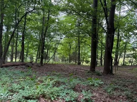 0 S Ridge Crest Rd, Luttrell, TN 37779 photo 4