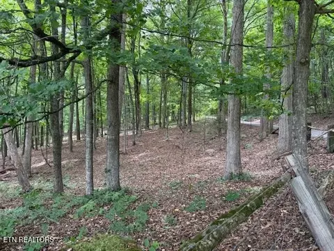 0 S Ridge Crest Rd, Luttrell, TN 37779 photo 3