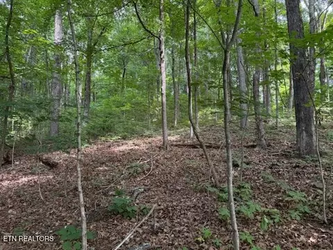 0 S Ridge Crest Rd, Luttrell, TN 37779 photo 6