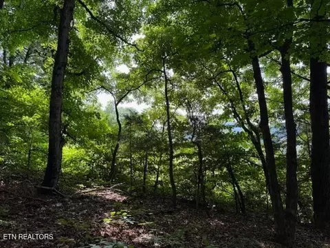 0 S Ridge Crest Rd, Luttrell, TN 37779 photo 5