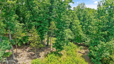1499 Dogwood Valley Rd, Kingston, TN 37763