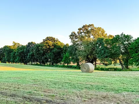 0 Lot 6 Talbott Kansas Rd, Talbott, TN 37877 photo 7