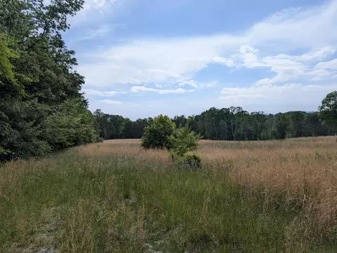 1615 Burdette Rd, Grandview, TN 37337