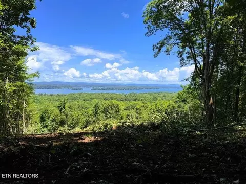 7 Pleasant Hill Rd, Ten Mile, TN 37880