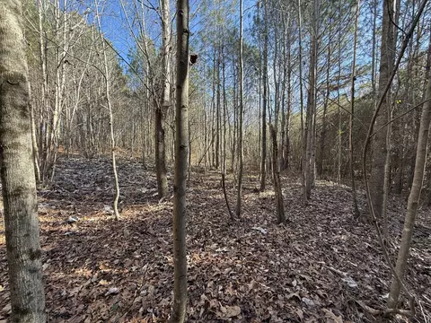 0 County Road 41, Addison, AL 35540 photo 9