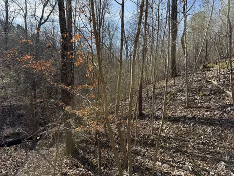 0 County Road 41, Addison, AL 35540 photo 8