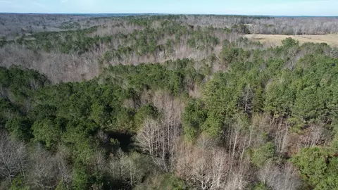 0 County Road 41, Addison, AL 35540 photo 3
