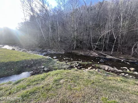 0 Blue Mill Rd, Del Rio, TN 37727
