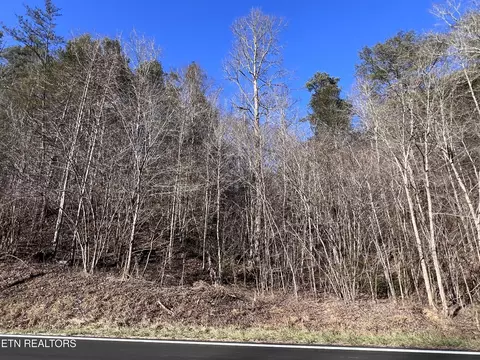 0 Lot 17 18 Jones Cove Rd, Sevierville, TN 37876