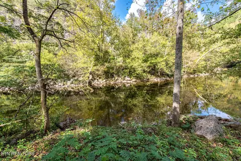 6806 Walnut Loop Rd, Townsend, TN 37882 photo 9