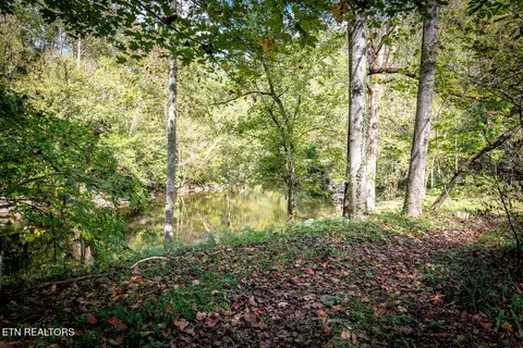 6806 Walnut Loop Rd, Townsend, TN 37882 photo 7
