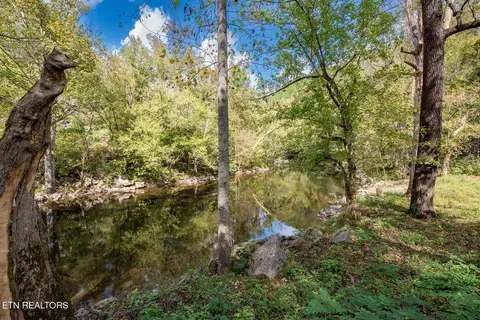 6806 Walnut Loop Rd, Townsend, TN 37882 photo 40