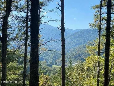 849 Hawk View Rd, Townsend, TN 37882