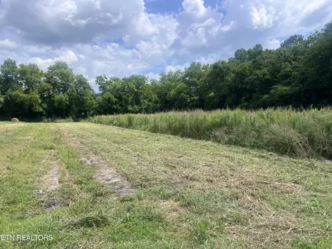 0 Nibor Way, Newport, TN 37821