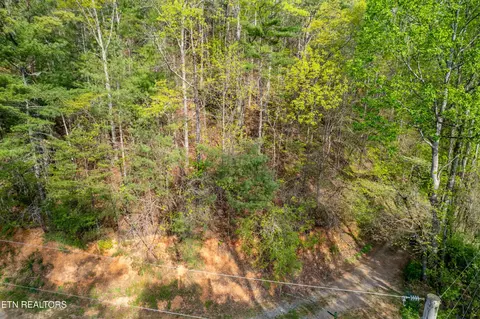 240 Mt Luke Rd, Townsend, TN 37882
