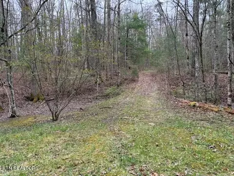 20 Bear Rd, Tallassee, TN 37878