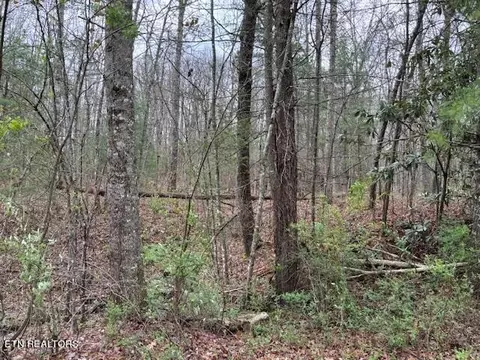 19 Bear Rd, Tallassee, TN 37878