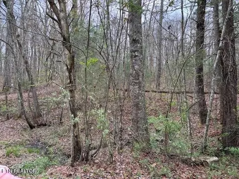 18 Bear Rd, Tallassee, TN 37878