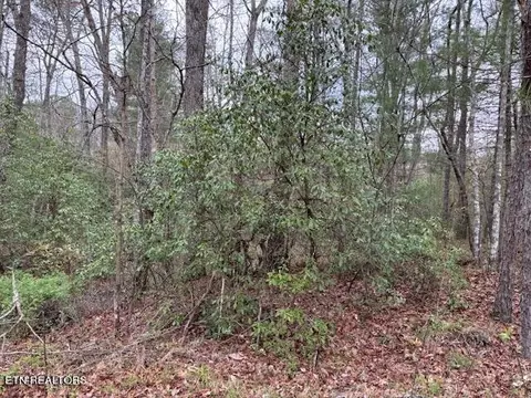 14 Flats Rd, Tallassee, TN 37878