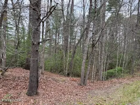 13 Flats Rd, Tallassee, TN 37878