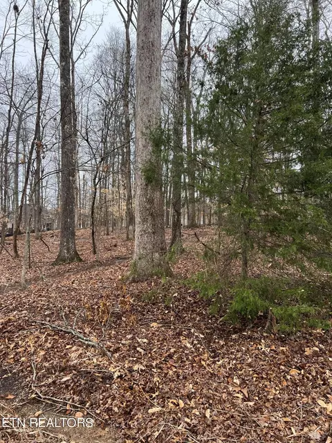 438 Goweli Tr, Vonore, TN 37885