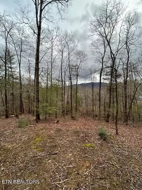 329 Beckett Ridge Rd, Townsend, TN 37882