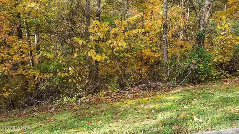 85 Smoky Cove Rd, Sevierville, TN 37876