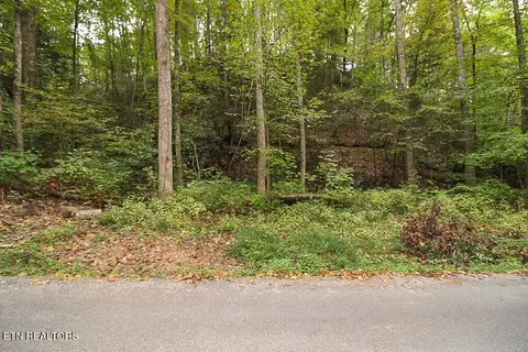 20 Ownby Cir, Gatlinburg, TN 37738