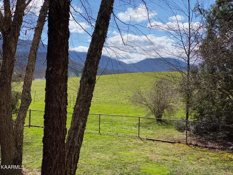 305 Webb Rd, Townsend, TN 37882 photo 35