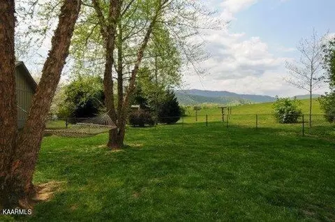 305 Webb Rd, Townsend, TN 37882 photo 25