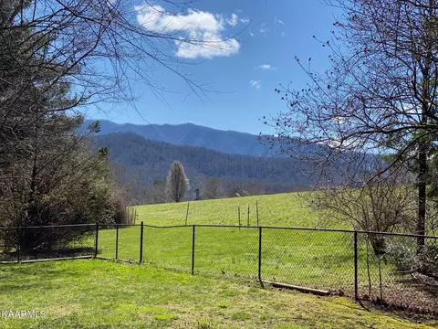 305 Webb Rd, Townsend, TN 37882 photo 2