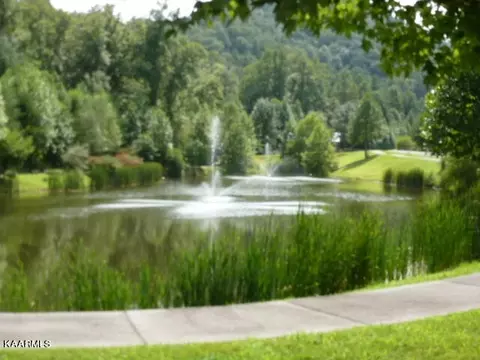 452454 Mt John Loop, Townsend, TN 37882 photo 7