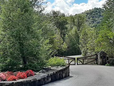 452454 Mt John Loop, Townsend, TN 37882 photo 1